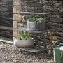 Three Tier Outdoor Plant Stand, thumbnail 2 of 3