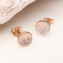 Rose Gold Plated And Swarovski Crystal Disc Earrings, thumbnail 1 of 4