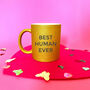 Best Human Ever Gold Sparkle Mug, thumbnail 1 of 2