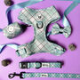 Dog Harness Padded Adjustable In Sage Green Check, thumbnail 3 of 11