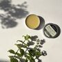 Organic And Natural Garden Mint Lip Balm Vegan Friendly, thumbnail 1 of 2