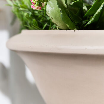 Wide Terracotta Urn Planter, 2 of 4