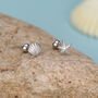 Sterling Silver Starfish And Shell 18 G Screw Back Stud Earrings, thumbnail 1 of 12