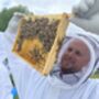 The Magic Of Bees Experience For Two In Manchester, thumbnail 5 of 12