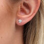 Sterling Silver Sea Shell Stud Earrings, thumbnail 1 of 5