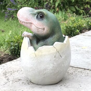 Super Cute Green Baby Dinosaur Hatching From Egg, 4 of 4