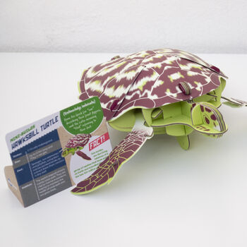 Build Your Own Personalised Hawksbill Turtle, 6 of 10