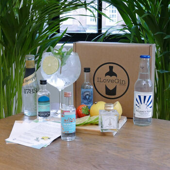 The Four Classic Style Gins And Tonics Tasting Gift Set, 2 of 3