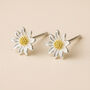 Sterling Silver And Yellow Gold Daisy Flower Stud Earrings, thumbnail 1 of 8