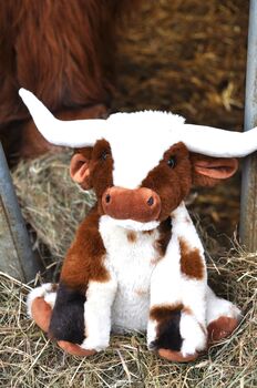 Large Texas Longhorn Highland 30cm Cow With Personalised Heart, 2 of 12