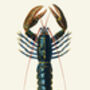Rock The Lobster Art, thumbnail 2 of 7