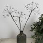 Three Fine Wire Cow Parsley Stems, thumbnail 6 of 9