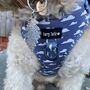 'Cotton Trails' Adjustable Dog Harness, thumbnail 4 of 5