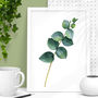 Eucalyptus Branch Green Watercolour Botanical Print, thumbnail 4 of 7