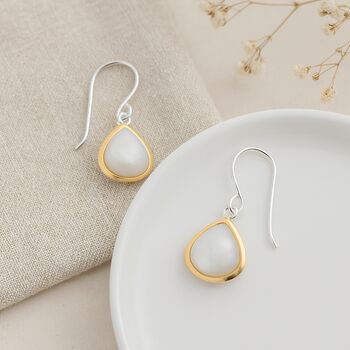 Gold Plated Mother Of Pearl Drop Earrings – 24mm, 4 of 4