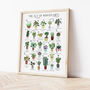 The A To Z Of Houseplants Print, thumbnail 2 of 6