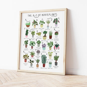 The A To Z Of Houseplants Print, 2 of 6