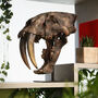 Xl Hand Painted Smilodon Saber Tooth Cat Skull Dinosaur Sculpture 3D Resin Fossil Model On Black Metal Stand, Statement Home Decor, thumbnail 1 of 4