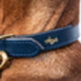 Personalised Padded Luxury Leather Dog Collar, thumbnail 5 of 12