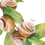 Botanical Cinnamon Roll Art Print, thumbnail 4 of 10