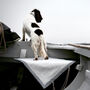 Salty Sea Dog Travel Pet Bed, thumbnail 1 of 3
