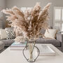 Fluffy Taupe Pampas Grass Bunch, thumbnail 1 of 2