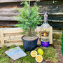 Gin Gardening Gift Crate, thumbnail 1 of 10