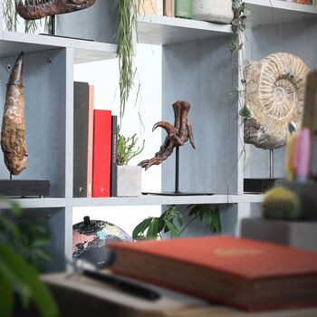 Velociraptor Dinosaur Killing Claw Painted 3D Model Gifts For Him, 3 of 4