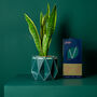 Origami Self Watering Eco Plant Pot: 18cm | Dark Teal, thumbnail 4 of 7