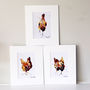 Hen Prints, Three Red Hens, thumbnail 1 of 6