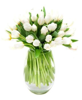 Fresh White Tulips Bouquet, 2 of 3
