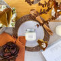 Farmhouse Grandma's Pumpkin Pie Candle/Wax Melt, thumbnail 2 of 3
