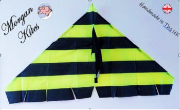 Delta Kite The Bee By Morgan Kites, 8 of 9