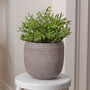 Mesiac Rippled Grey Plant Pot, thumbnail 1 of 5