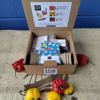 Dad's Chilli Pepper Grow Kit, Father's Day Gift, Dad's Birthday Present, Gardening Gift For Dads Day, 4 of 9