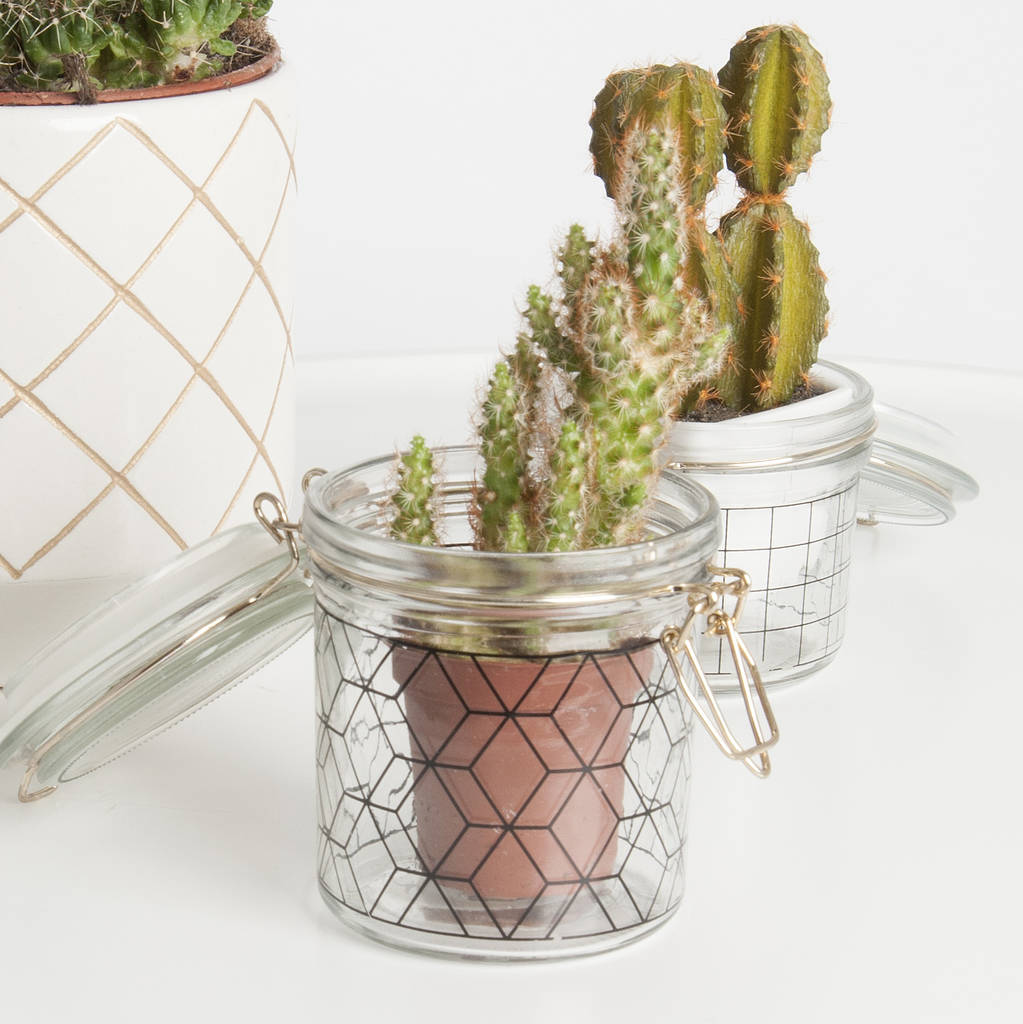 Geometric Storage Jars With Gold Clasp By Marquis & Dawe