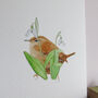 Wren And Snowdrops Giclee Fine Art Print, thumbnail 5 of 12