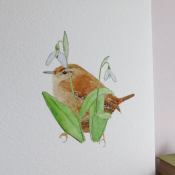 Wren And Snowdrops Giclee Fine Art Print, 5 of 12