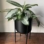 Black Metal Planter With Legs, thumbnail 1 of 9
