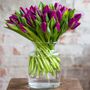 Fresh Purple Tulips Bouquet, thumbnail 1 of 3