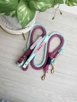 Design Your Own Cotton Dog Lead, 5 of 12