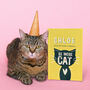 Personalised 'Be More Cat' Funny Book, thumbnail 1 of 6