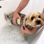 100% Natural Vegan Solid Dog Shampoo Bar, thumbnail 4 of 12