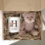 New Baby Teddy Bear Gift Hamper Money Box, thumbnail 2 of 6