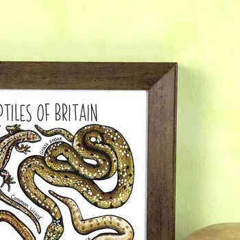 Reptiles Of Britain Wildlife Print, 8 of 8