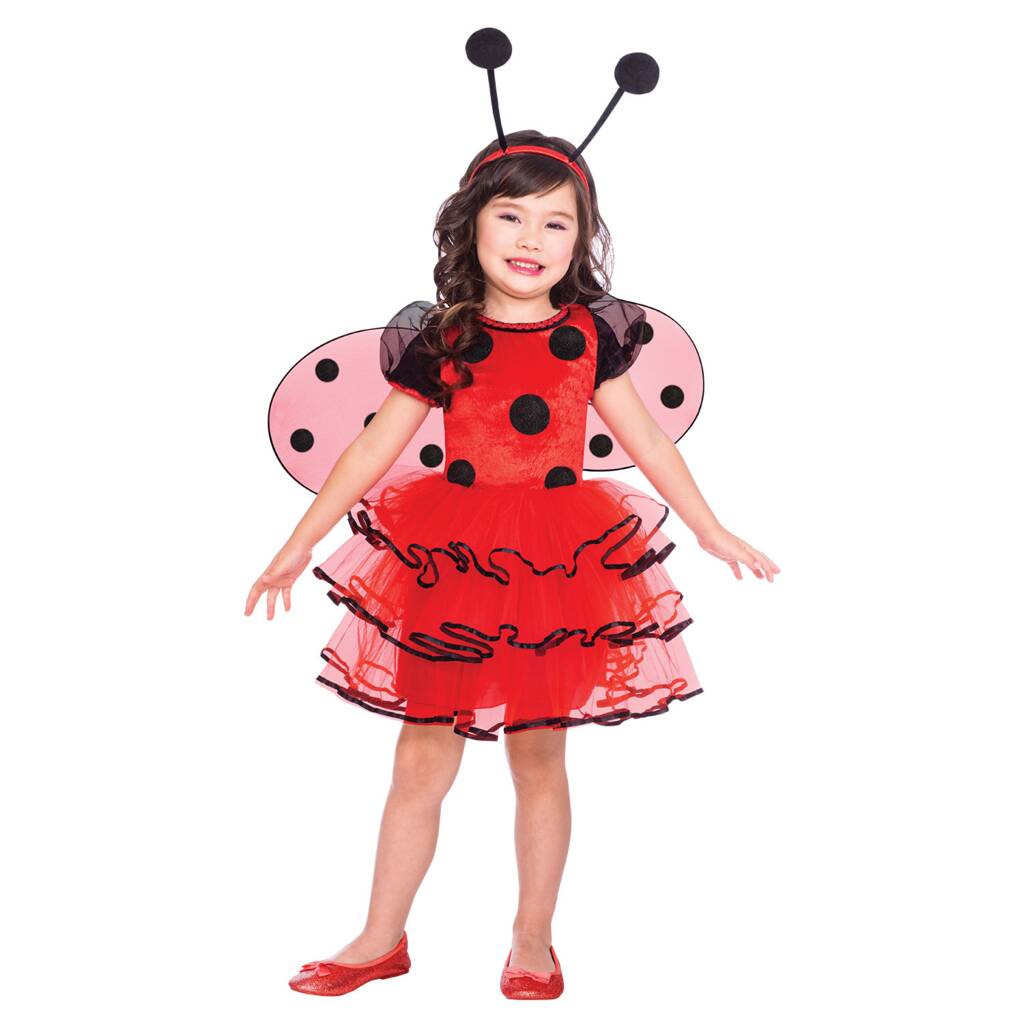 Children's Ladybird Dress Up Costume By Time To Dress Up ...
