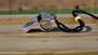Personalised Sports Whistle – Custom Engraving And Gift, thumbnail 1 of 8
