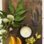 Neroli, Ylang Ylang And Lavender Stem Essential Oil Scented Candle, thumbnail 2 of 6