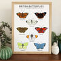 'British Butterflies' Print, thumbnail 1 of 2