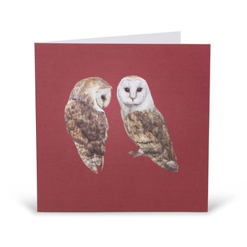 Pair Of Barn Owls Card, 2 of 2